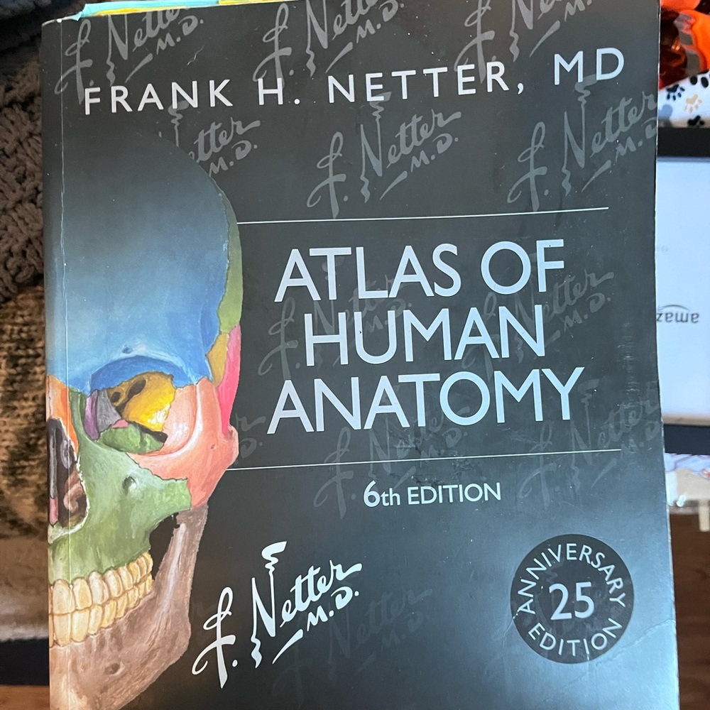 Atlas of Human Anatomy by Frank Netter. 6th edition.